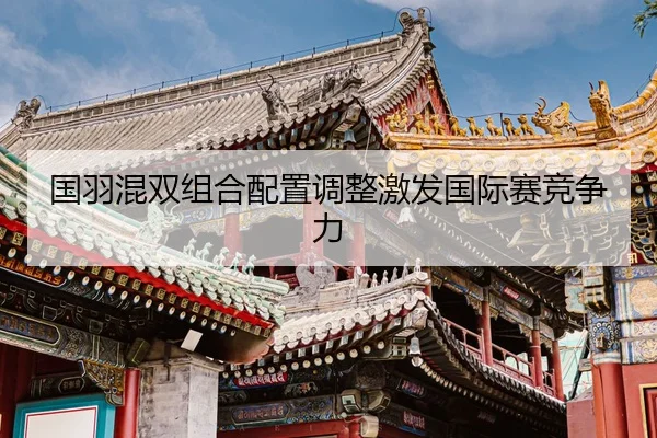 guo-yu-hun-shuang-zu-he-pei-zhi-tiao-zheng-ji-fa-guo-ji-sai-jing-zheng-li-1-670.jpg